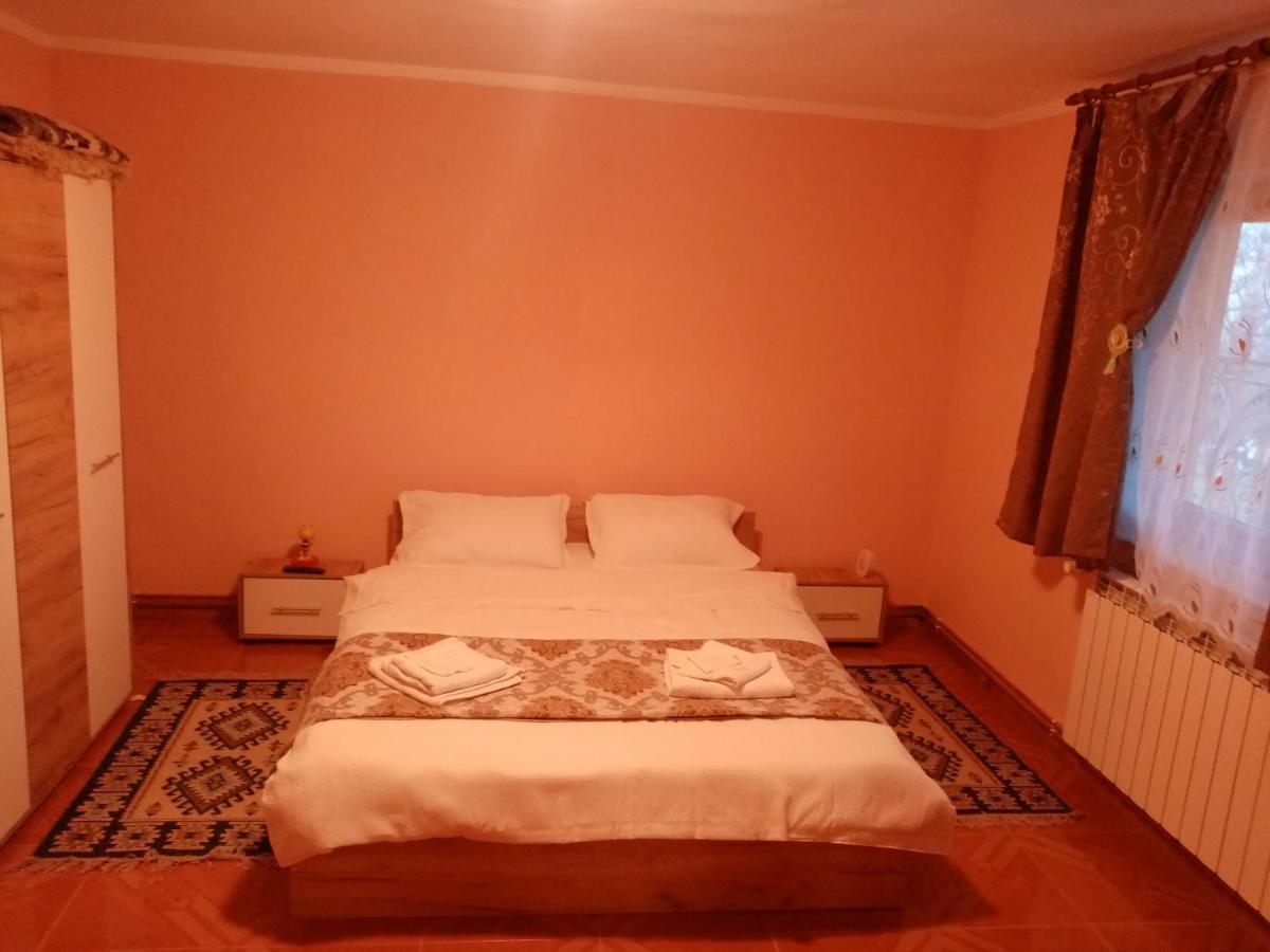Casa Dana Otel Borşa Dış mekan fotoğraf